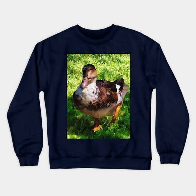 Birds - Duck With Attitude Crewneck Sweatshirt by SusanSavad